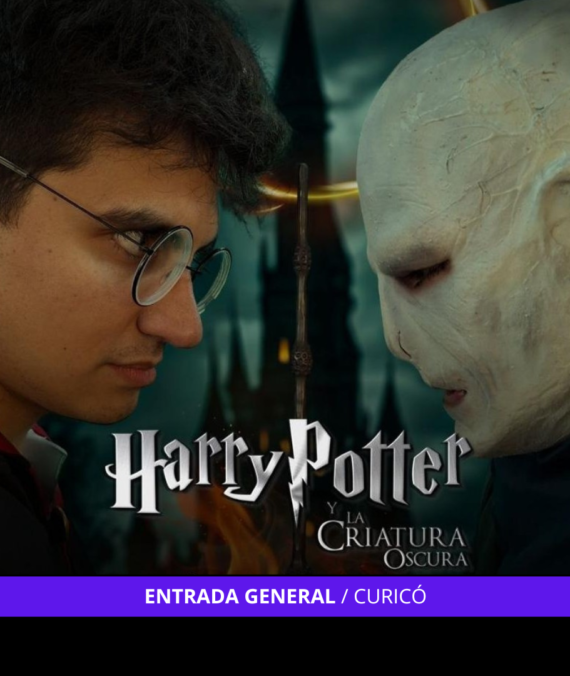 Harry Potter – Curicó 17 Hrs.