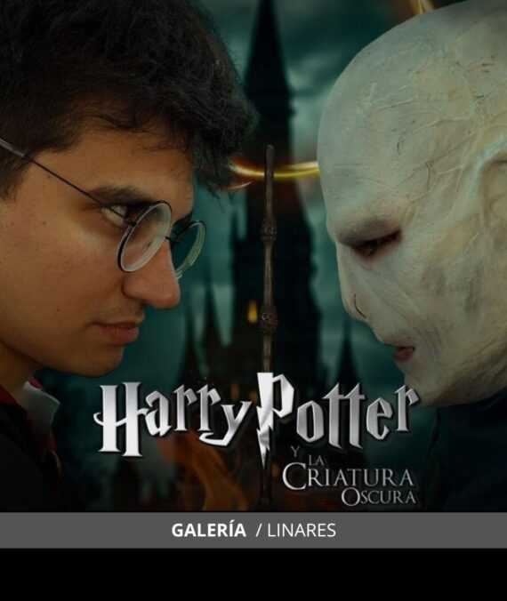 Harry Potter – Galería