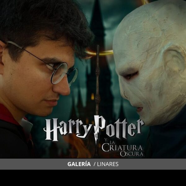 Harry Potter - Galería