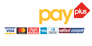 07_Logo_webpay_plus-300px